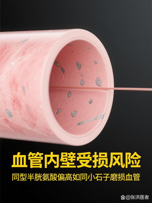 氨基酸的代谢伙伴 维生素如何助力身体的精工车间